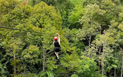 Person ziplining through lush forest canopy in Krabi, Thailand.