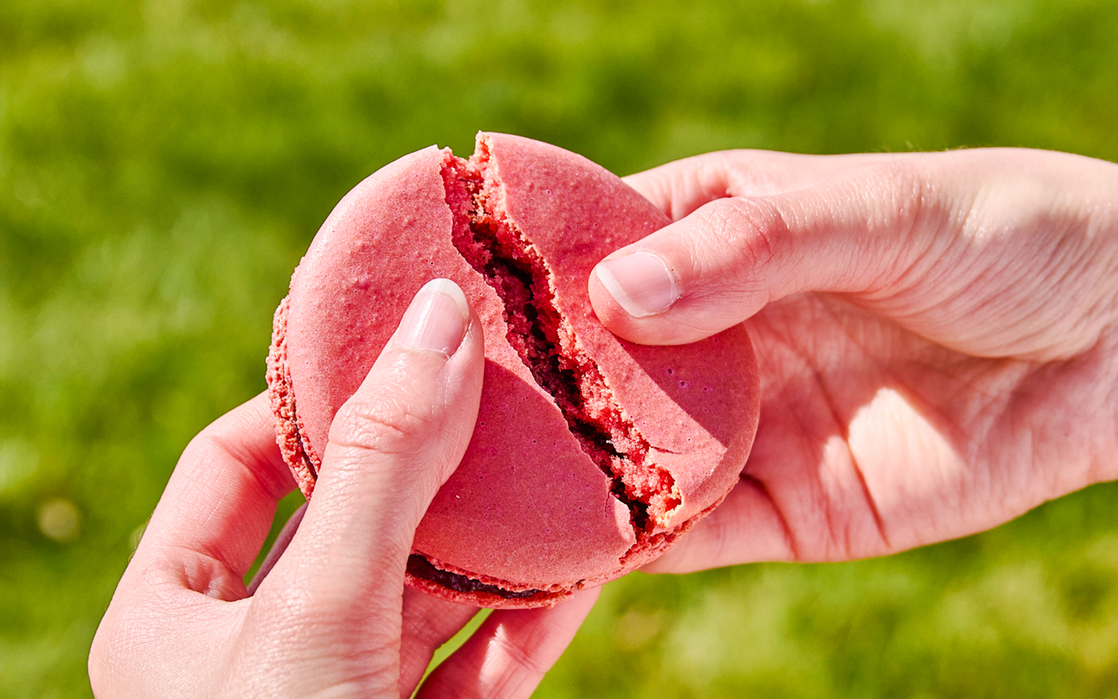 Person holding a pink macaron at Angelina Rivoli, Paris, France.