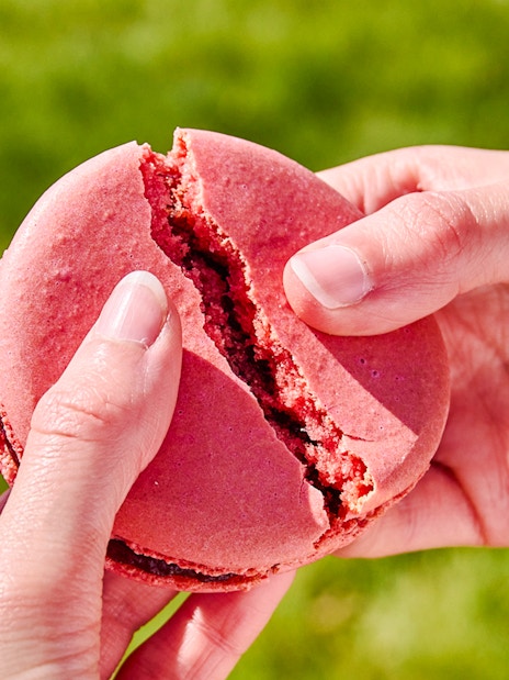Person holding a pink macaron at Angelina Rivoli, Paris, France.