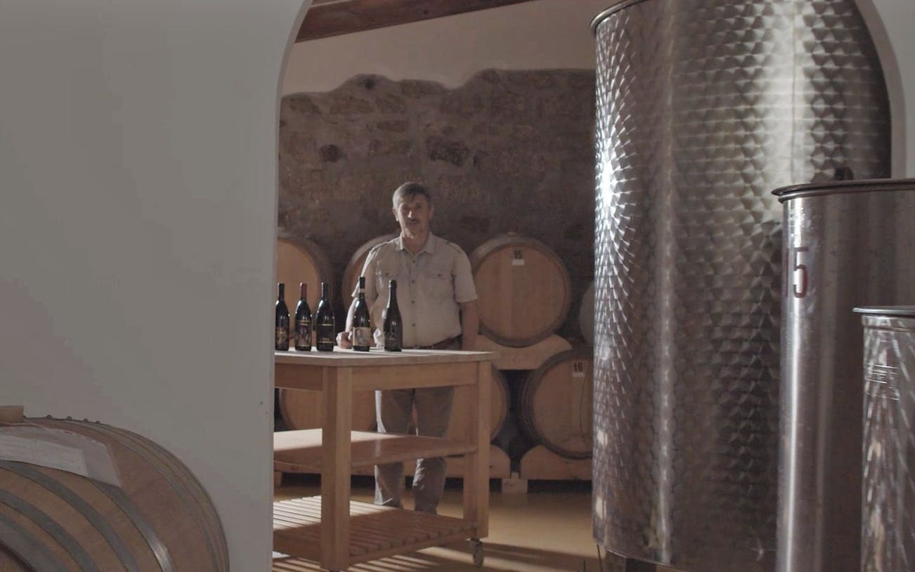 geführte tour durch das weingut gallura mit weinprobe von 3 lokalen weinen und sardischen häppchen in olbia-5