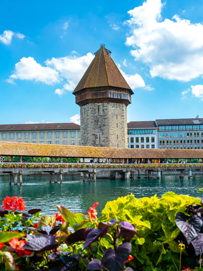Lucerne
