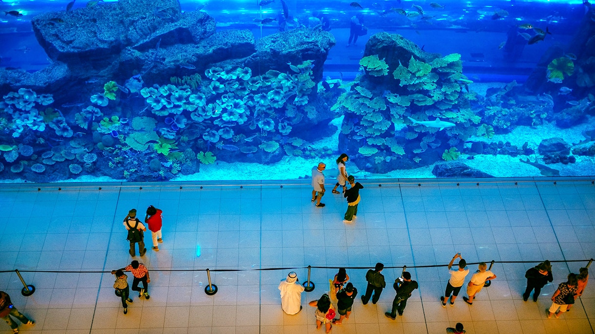 Dubai Aquarium