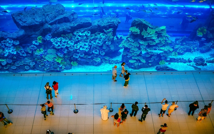 Visitors viewing marine life at Dubai Aquarium Underwater Zoo.