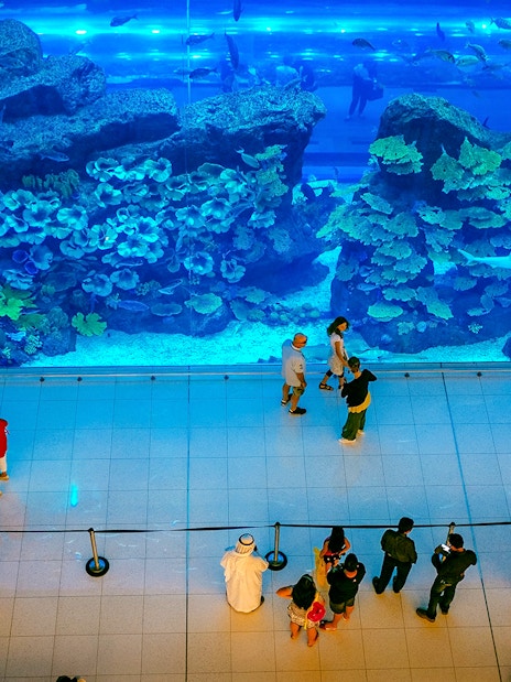 Visitors viewing marine life at Dubai Aquarium Underwater Zoo.