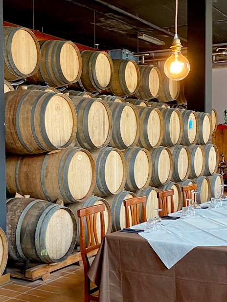 Chianti winery tasting room with wooden barrels and set dining tables.