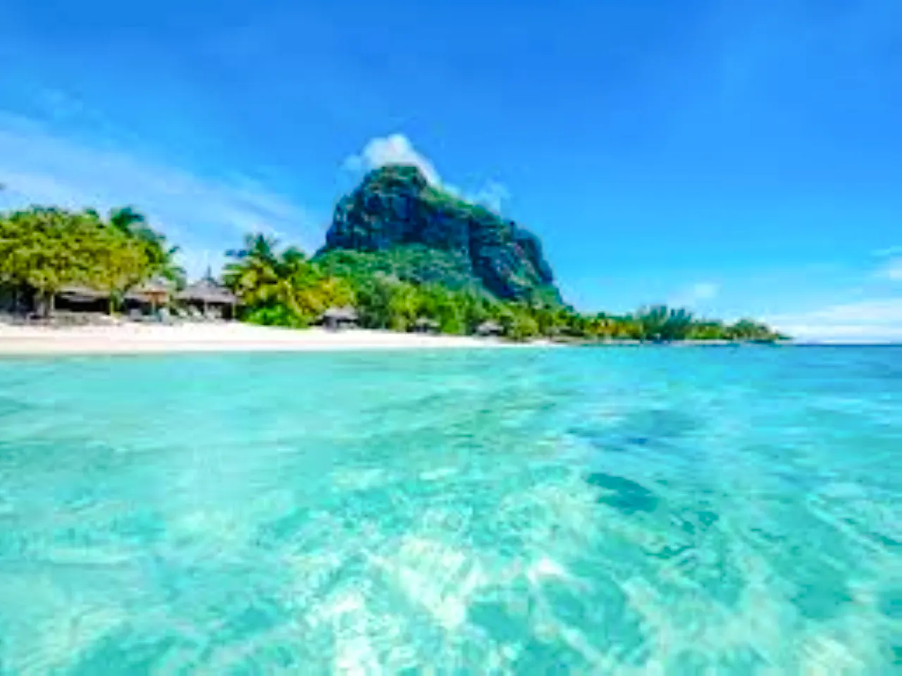 Mauritius Dolphin Watching by Speedboat & South-West Tour with Lunch and Hotel Transfers