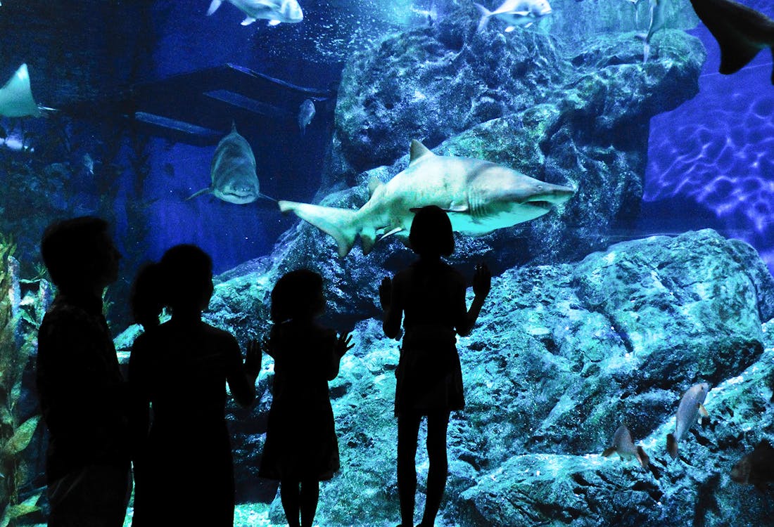 Barcelona Aquarium