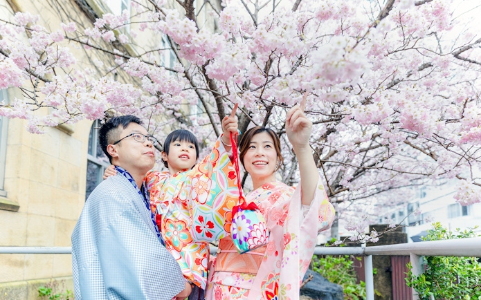Family in kimonos under cherry blossoms in Japan.