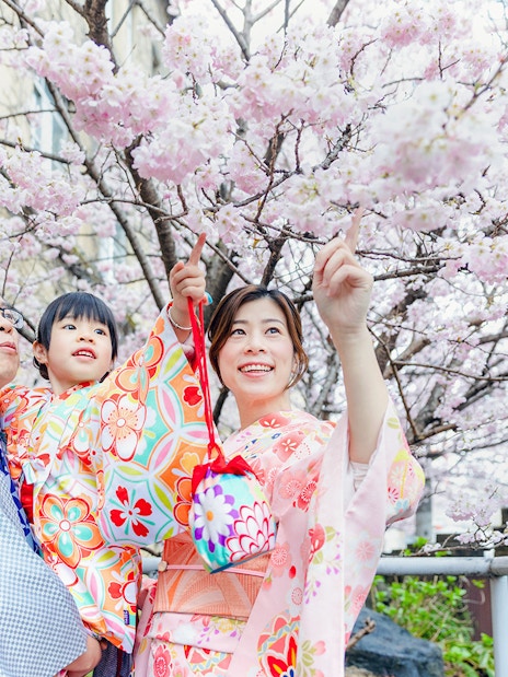 Family in kimonos under cherry blossoms in Japan.
