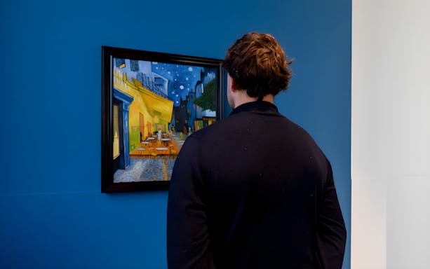 Person viewing Van Gogh painting in Amsterdam museum exhibit.