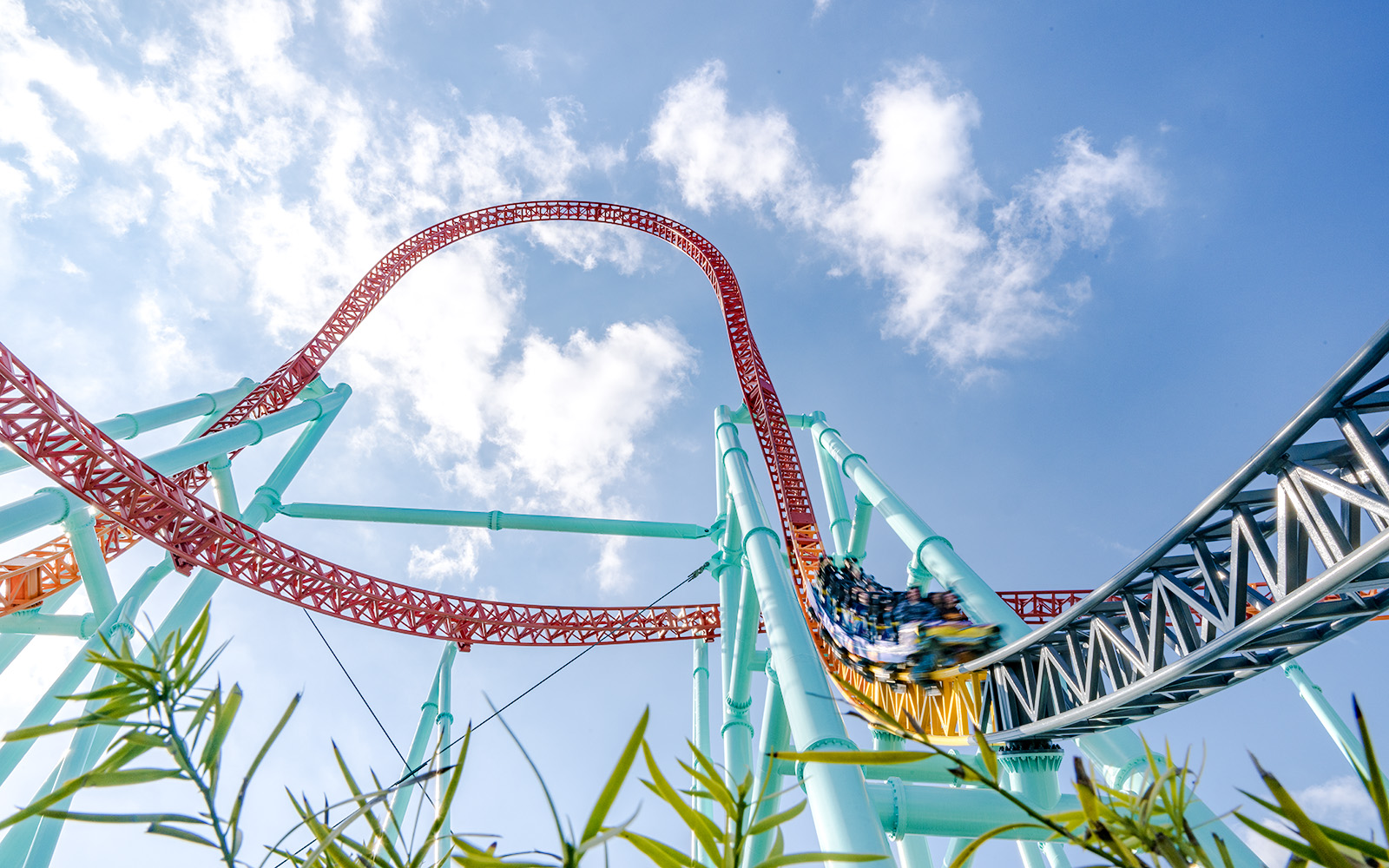 Xcelerator roller coaster at Knott's Berry Farm with steep loop and vibrant tracks.