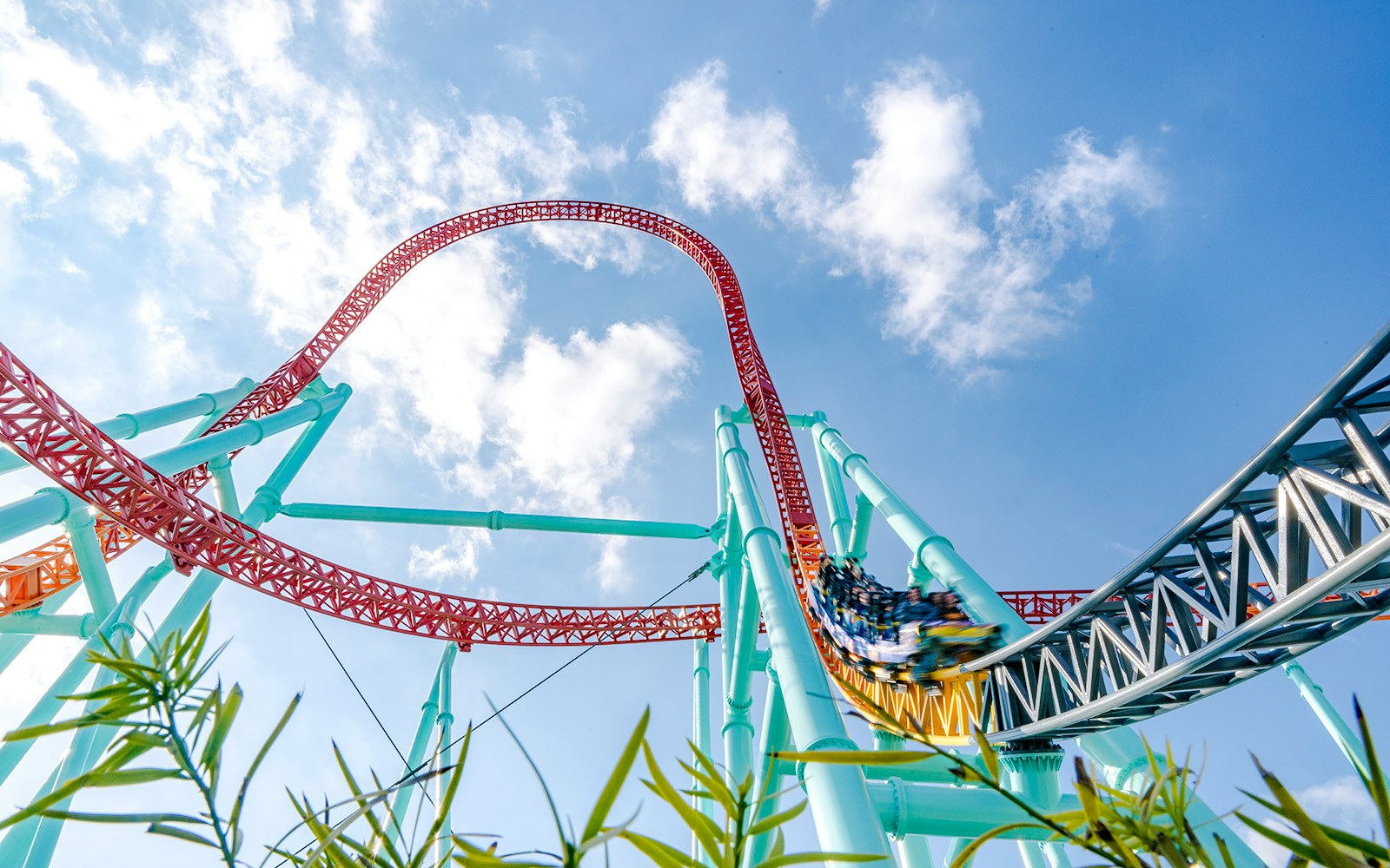 Xcelerator roller coaster at Knott's Berry Farm with steep loop and vibrant tracks.
