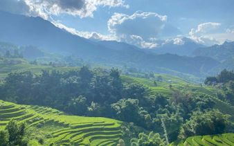 Sapa rice terraces with lush greenery and distant mountains under a cloudy sky.