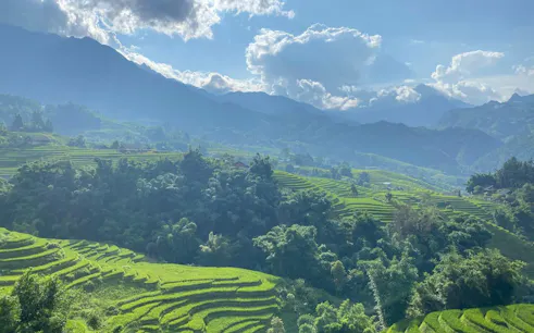 Sapa rice terraces with lush greenery and distant mountains under a cloudy sky.