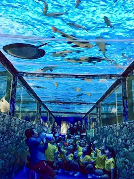 Children observing fish in an underwater tunnel at Monster Aquarium.
