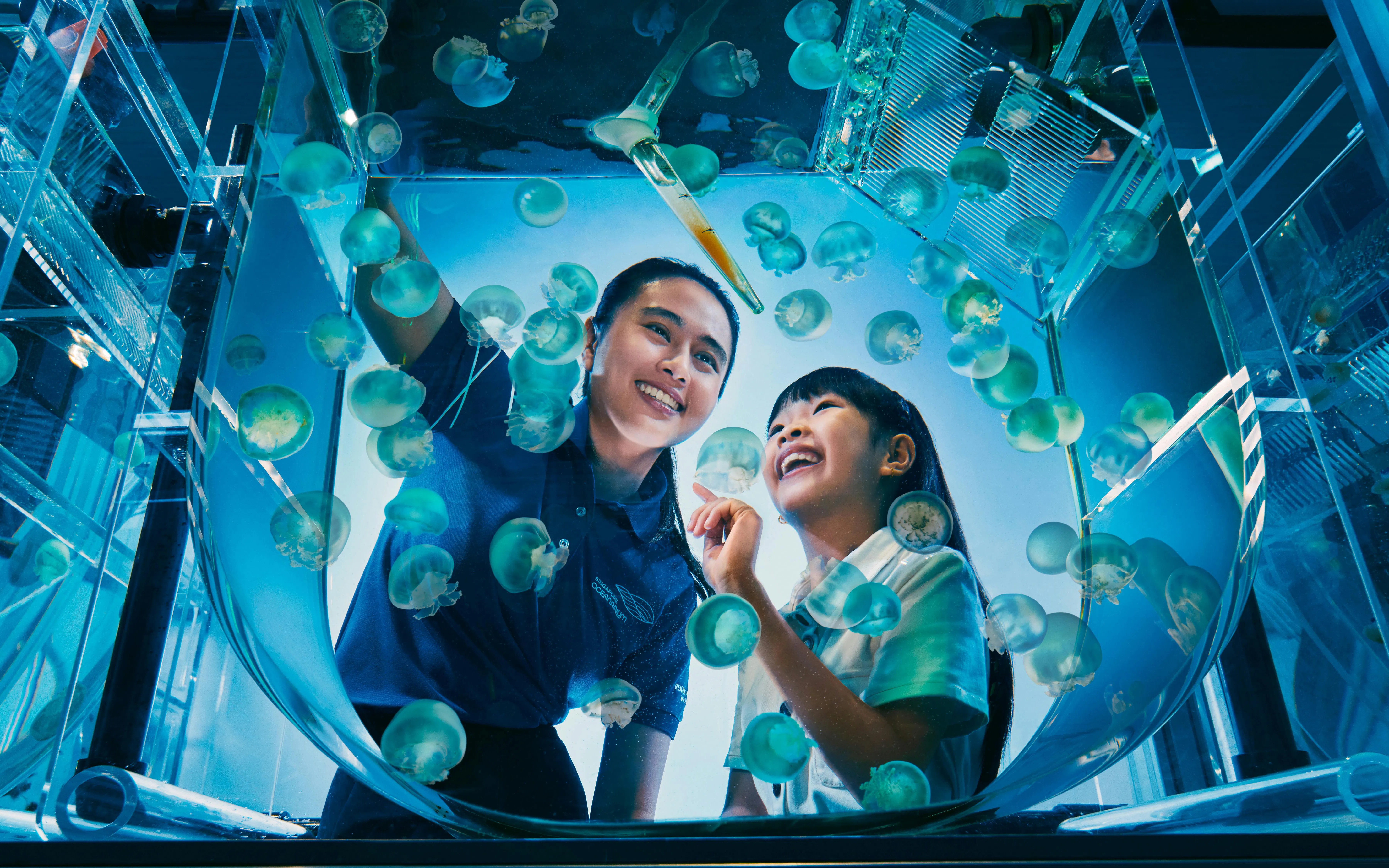 Visitors enjoying jellyfish exhibit at Singapore Oceanarium Marine Adventure.