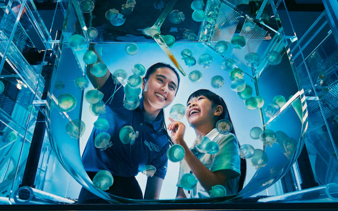 Visitors enjoying jellyfish exhibit at Singapore Oceanarium Marine Adventure.
