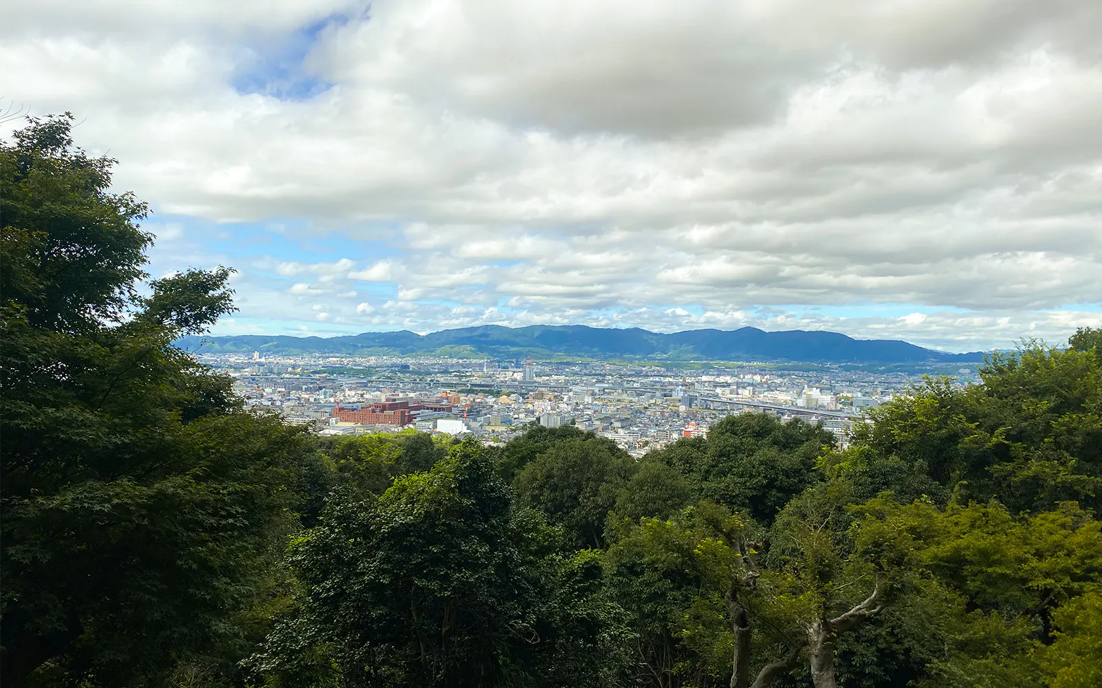 Entdecken Sie Nara Kyoto und Fushimi Inari von Osaka aus — 6