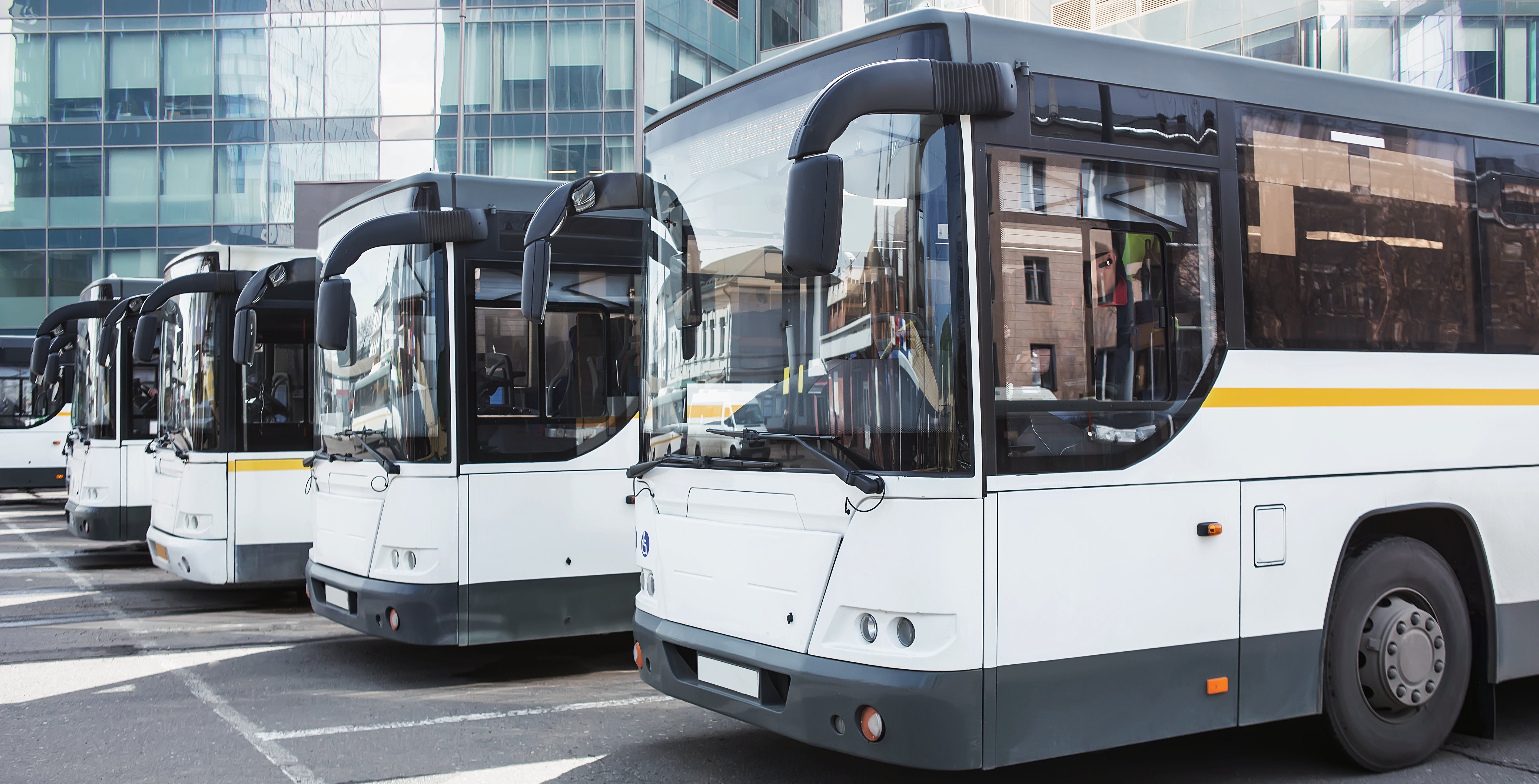 Хургада (с трансферами в отель)