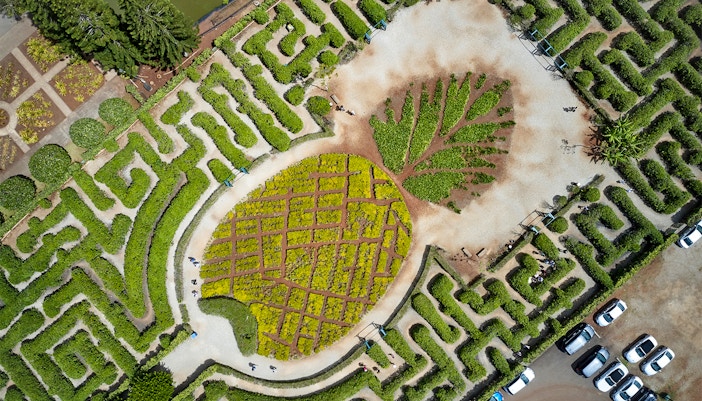 Aerial view of the pineapple-shaped garden maze at Dole Pineapple Plantation, Hawaii.