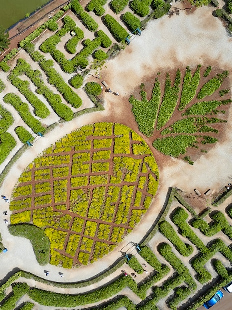 Aerial view of the pineapple-shaped garden maze at Dole Pineapple Plantation, Hawaii.