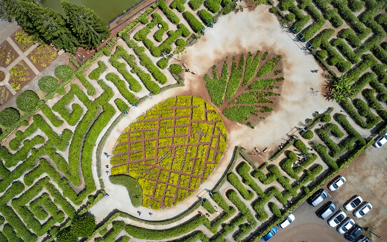 Aerial view of Dole Pineapple Plantation, Oahu, showcasing lush fields and plantation layout.