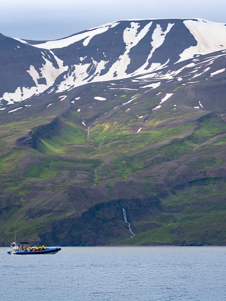 RIB speedboat with tourists whale watching in Husavik, North Iceland, with snow-capped mountains.