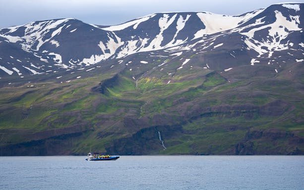 RIB speedboat with tourists whale watching in Husavik, North Iceland, with snow-capped mountains.