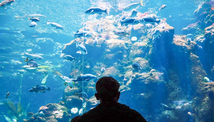 Hurghada Grand Aquarium