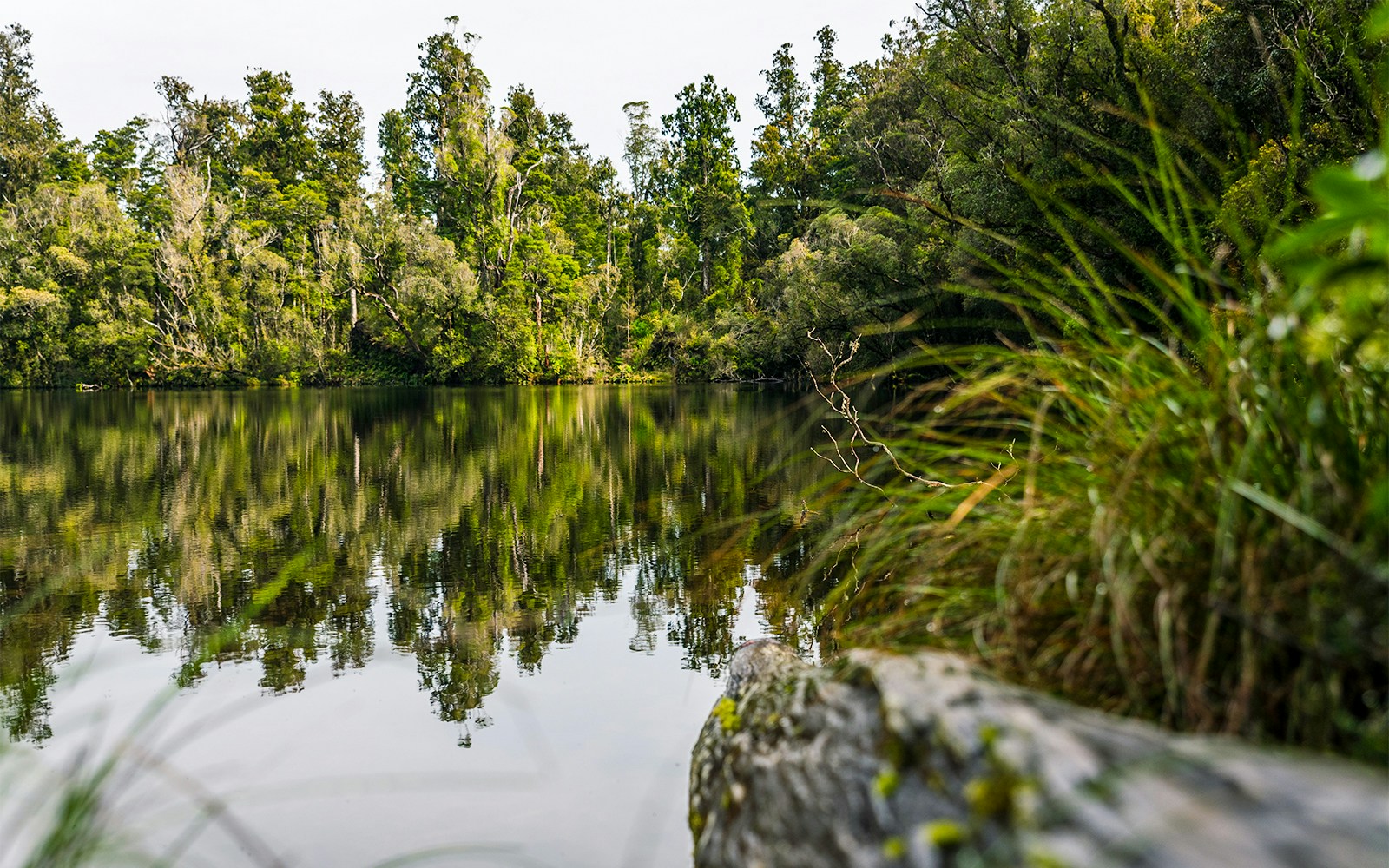 Lake Wombat