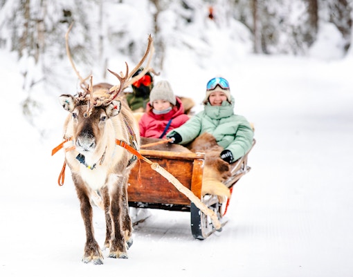 Reindeer pulling a sled with people through snowy forest in Rovaniemi.