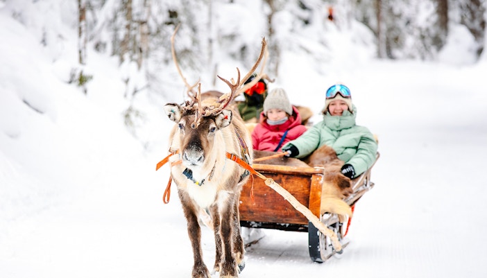 Reindeer pulling a sled with people through snowy forest in Rovaniemi.
