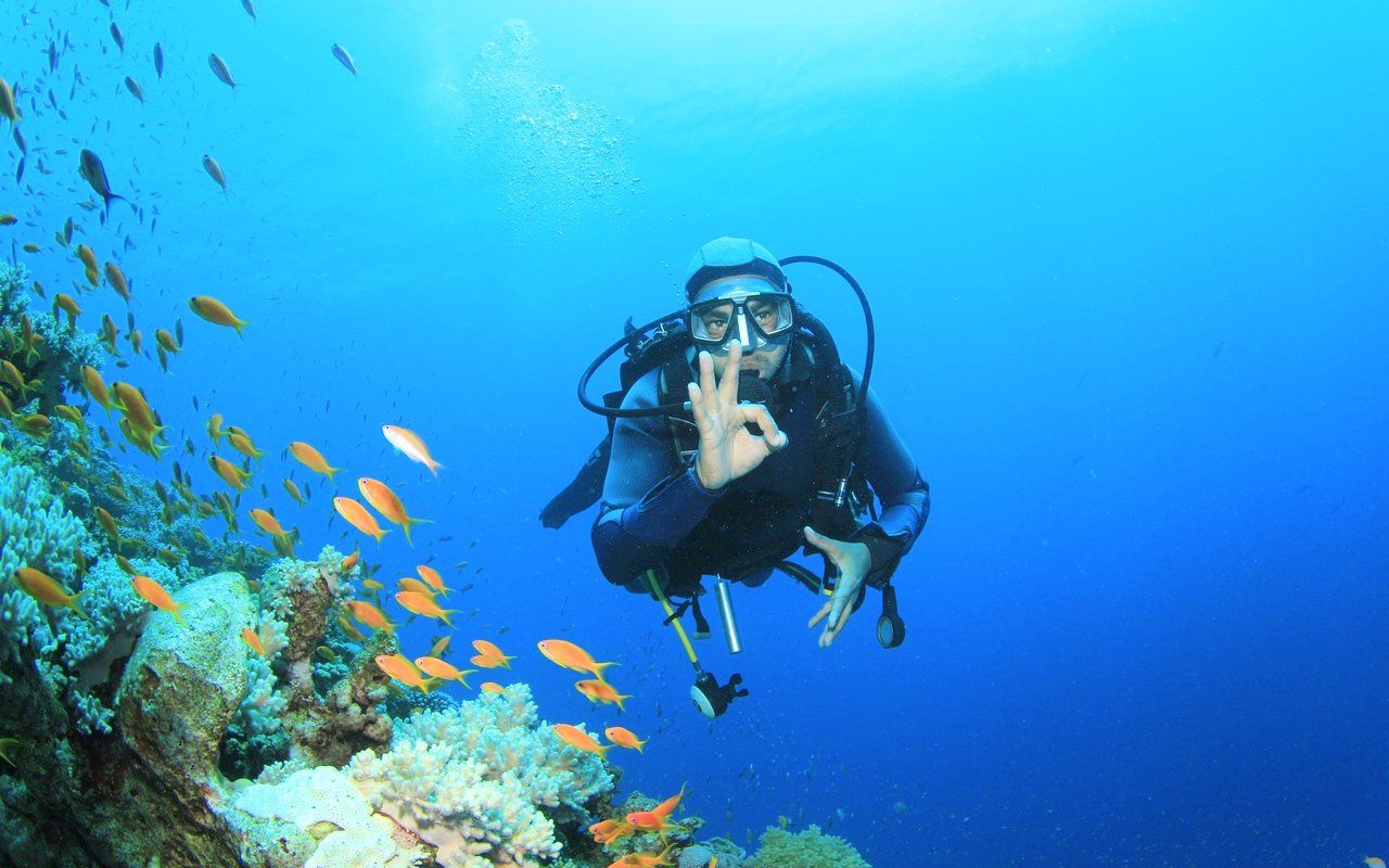 Scuba diver exploring coral reef with fish in Red Sea, Hurghada.