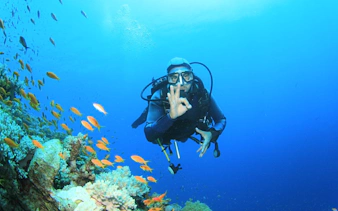 Scuba diver exploring coral reef with fish in Red Sea, Hurghada.