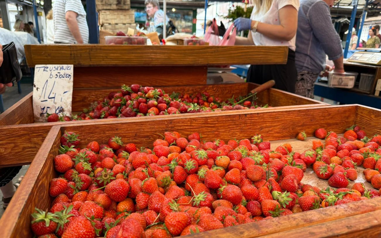 prywatna piesza wycieczka po krakowie śladami street foodu z lokalnym przewodnikiem i degustacjami na targu-4