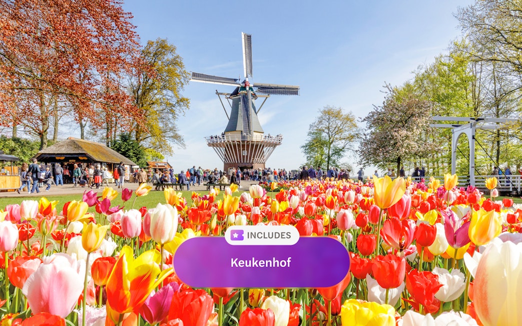 Keukenhof tulip garden with windmill and visitors in Amsterdam.