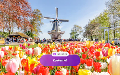 Keukenhof tulip garden with windmill and visitors in Amsterdam.