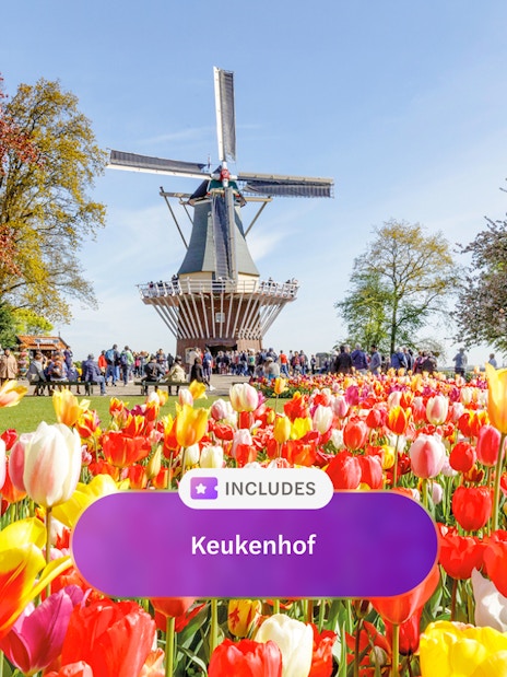 Keukenhof tulip garden with windmill and visitors in Amsterdam.