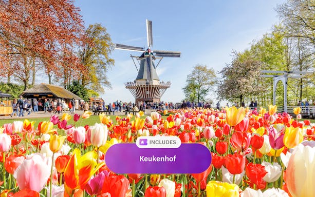 Keukenhof tulip garden with windmill and visitors in Amsterdam.