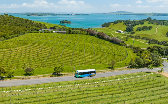 Hop on hop off bus passing vineyards on Waiheke Island with ocean view.