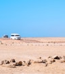 Hotel in Sharm El Sheikh