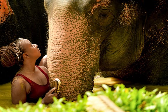 elephant jungle sanctuary experience in phuket-7