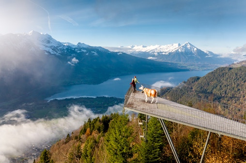 Harder Kulm Round-Trip Funicular Tickets