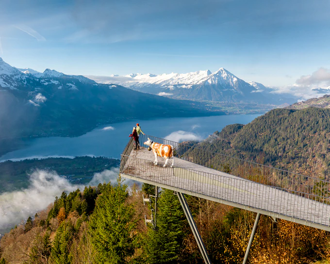 Harder Kulm Round-Trip Funicular Tickets