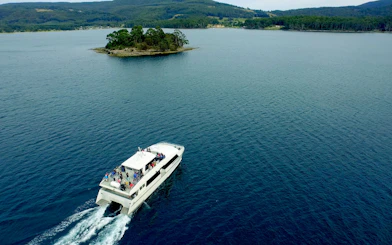 Tour boat cruising near an island on the Tasman Peninsula, Port Arthur.