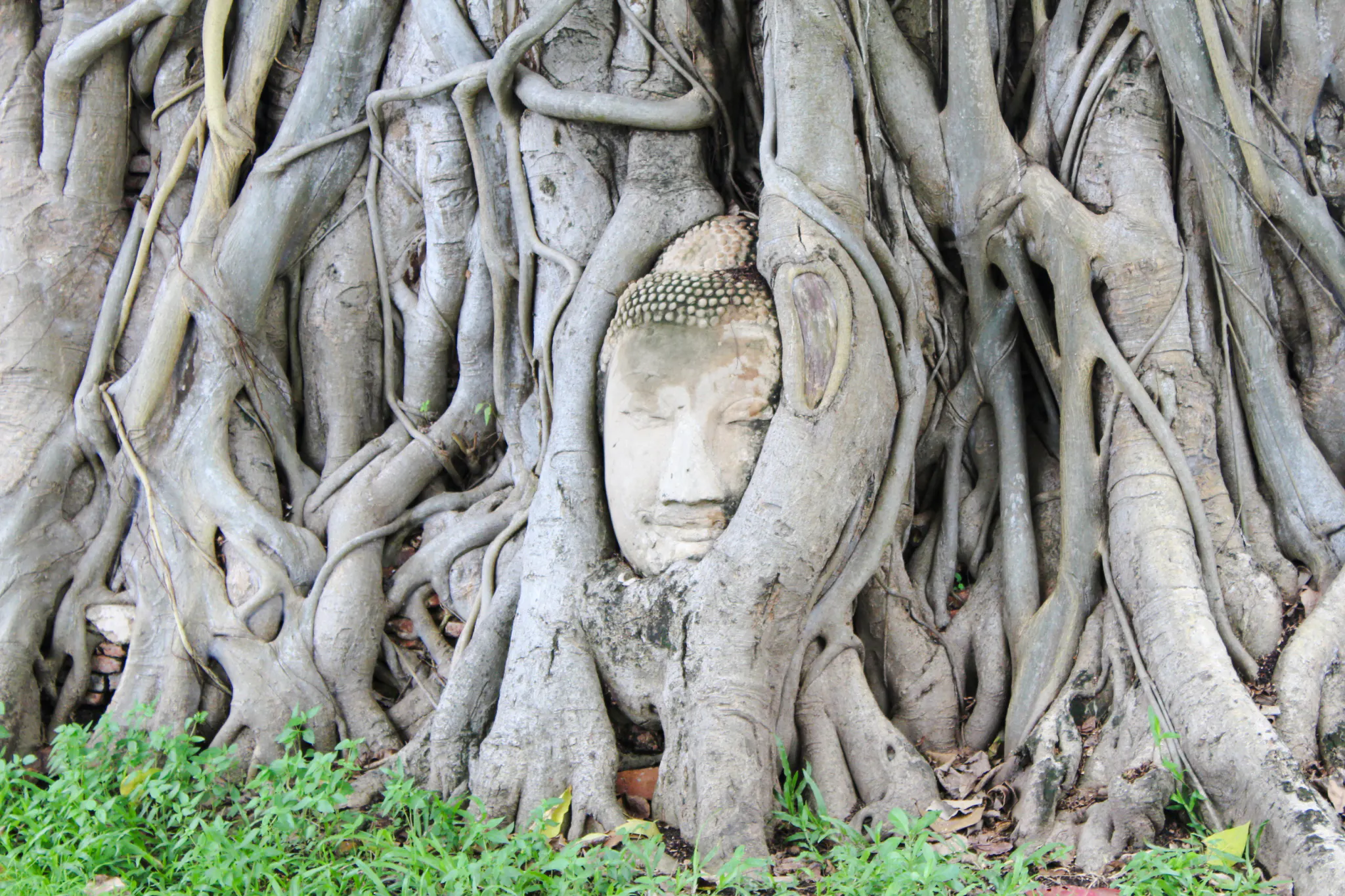 bangkok'tan: kurbağa başlı tuk-tuk gezisi ve yerel pazar ziyaretini i̇çeren özel unesco ayutthaya tarihi parkı turu-1