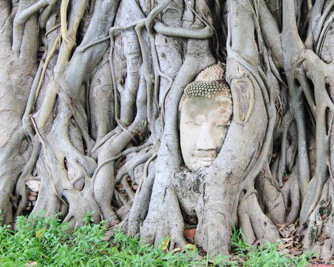 From Bangkok: Private UNESCO Ayutthaya Historical Park Tour with Frog-Headed Tuk-Tuk Ride and Local Market