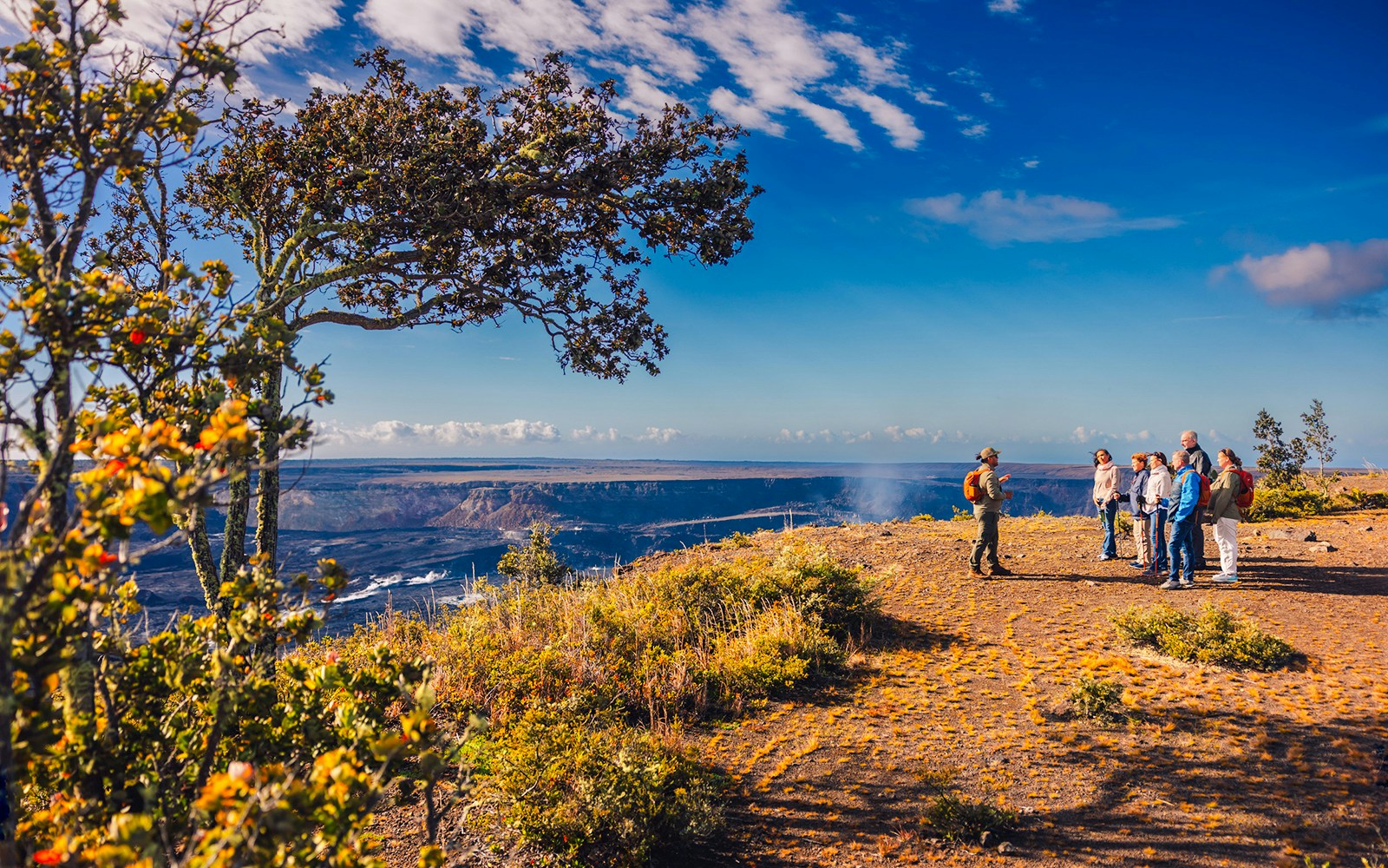 Tour group overlooking volcanic landscape in Hawaii.