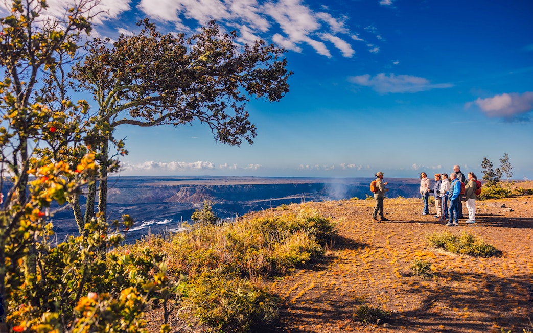 Tour group overlooking volcanic landscape in Hawaii.