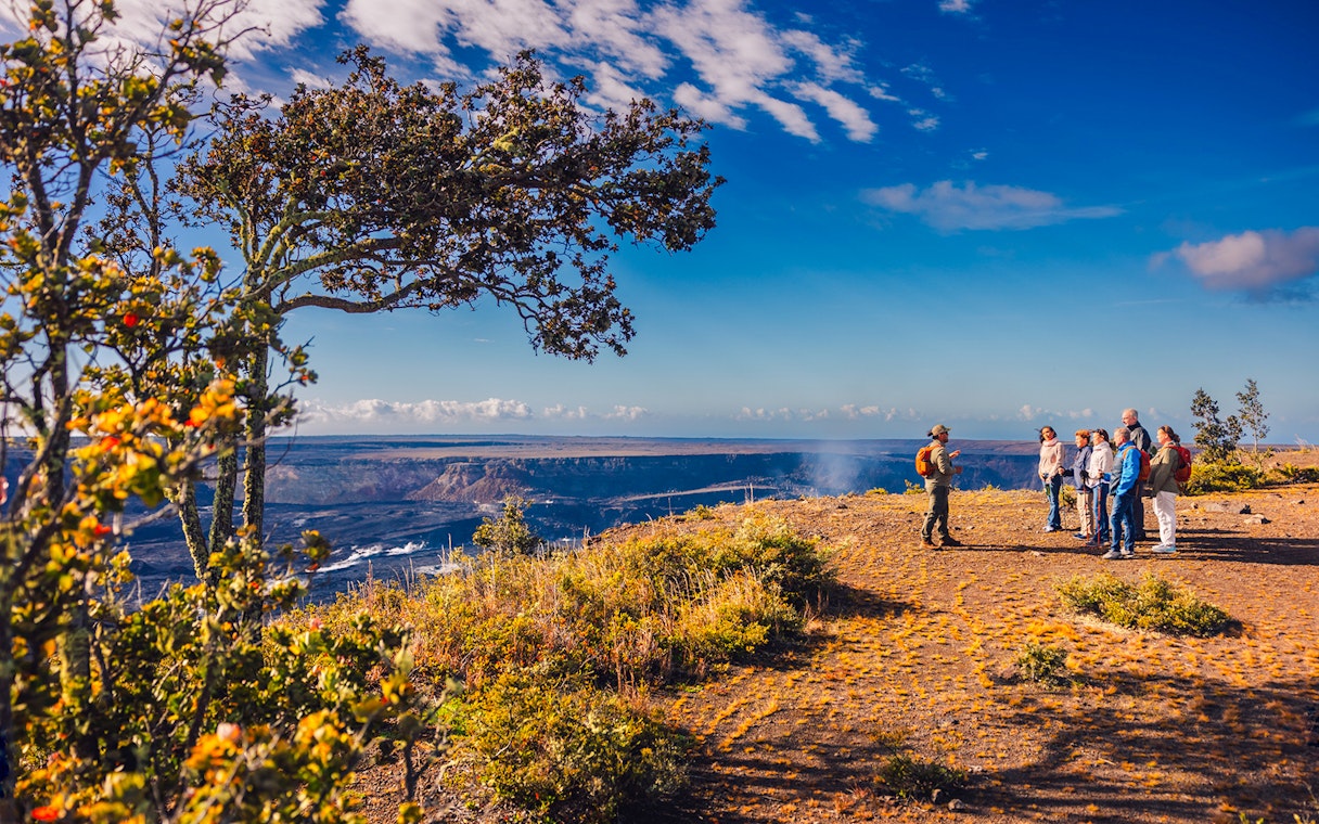 Tour group overlooking volcanic landscape in Hawaii.